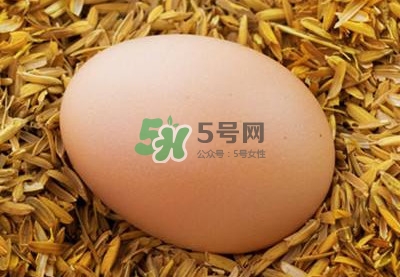 芝麻醬和雞蛋能一起吃嗎？雞蛋可以和芝麻醬一起吃嗎