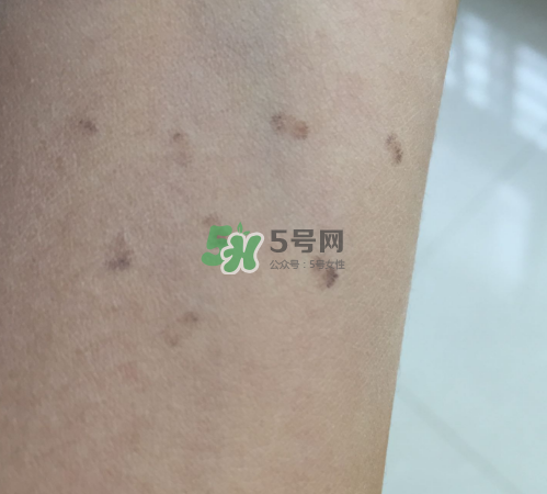 bobbi brown粉餅多少錢？芭比波朗粉餅價格