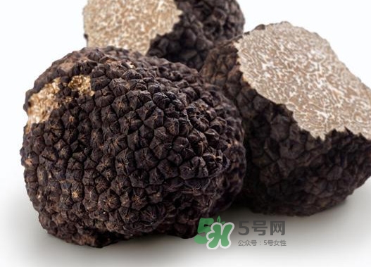 松露是什么樣子的？松露是怎么形成的
