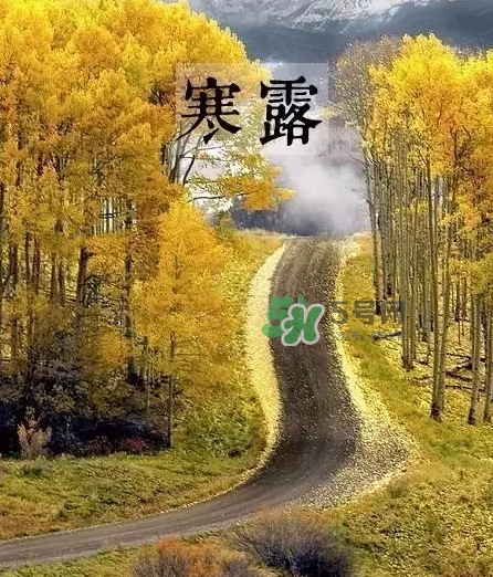 白露是寒露嗎？白露和寒露的區(qū)別