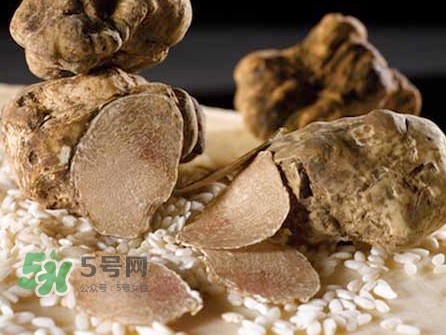 松露為什么那么貴？松露為什么這么貴？