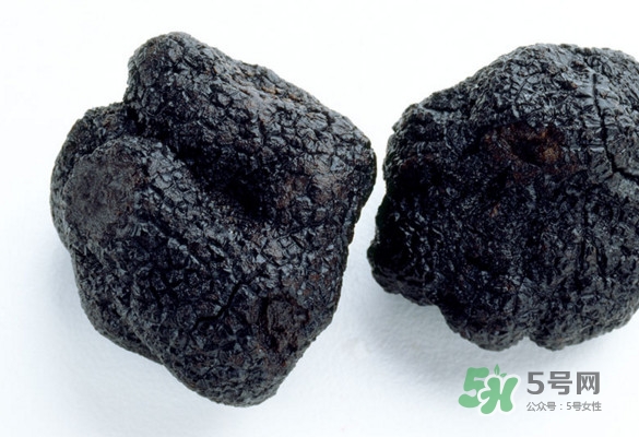 世界最大的松露是在哪個國家發(fā)現(xiàn)的？松露怎么吃