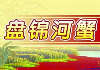 盤錦河蟹批發(fā)市場在哪？盤錦河蟹哪里最正宗？