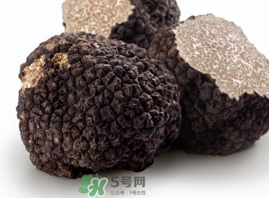 松露產(chǎn)地在哪里？松露有什么作用