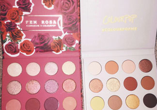 colourpop玫瑰眼影盤色號_colourpop she眼影盤試色圖
