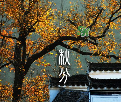 2017秋分會下雨嗎？2017秋分下雨好不好？