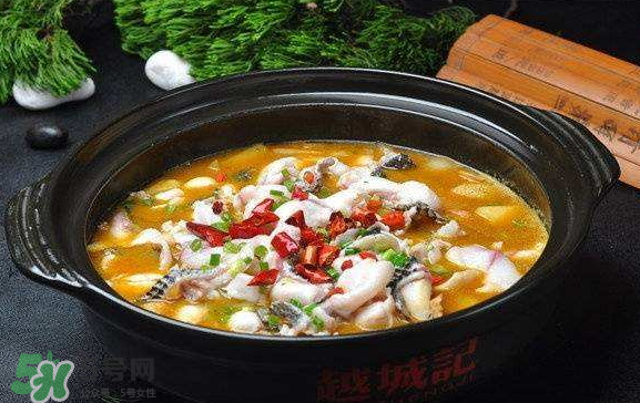 黑魚可以做水煮魚嗎？水煮黑魚的做法
