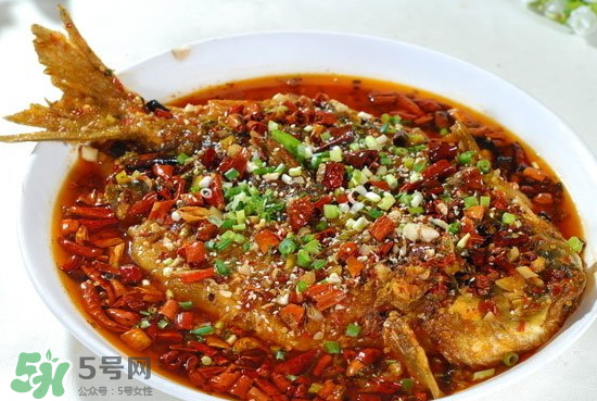 黑魚能愈合傷口嗎？黑魚為什么對傷口愈合？