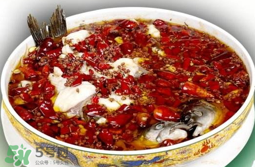 鯉魚可以做水煮魚嗎？水煮鯉魚的做法