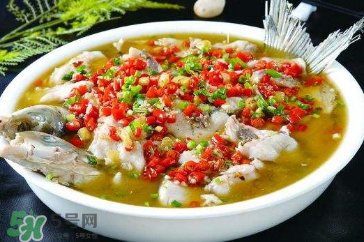 鯉魚可以做水煮魚嗎？水煮鯉魚的做法