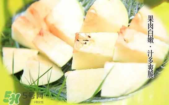 綠寶石梨多少錢一斤？綠寶石梨價格表