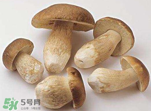 牛肝菌要泡發(fā)多久？牛肝菌怎么清洗