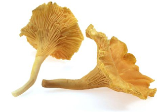 雞油菌怎么清洗？雞油菌要焯水嗎