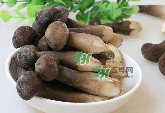 雞樅菌多少錢一斤？干雞樅菌多少錢一斤