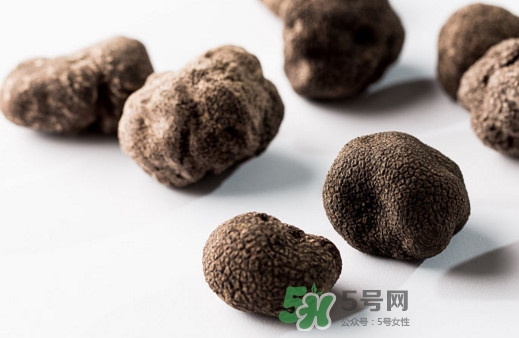 松露對女人有什么好處？松露對男人有什么好處