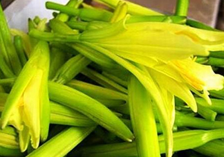 黃花菜開(kāi)花了還能吃嗎？開(kāi)花的黃花菜可以吃嗎
