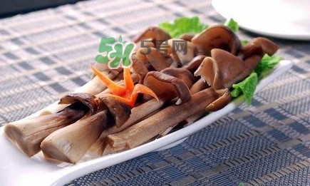 雞樅菌和松茸哪個更好？雞樅菌有什么營養(yǎng)