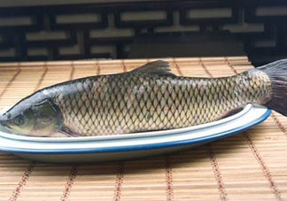 黑魚可以清蒸嗎？黑魚蒸多久？