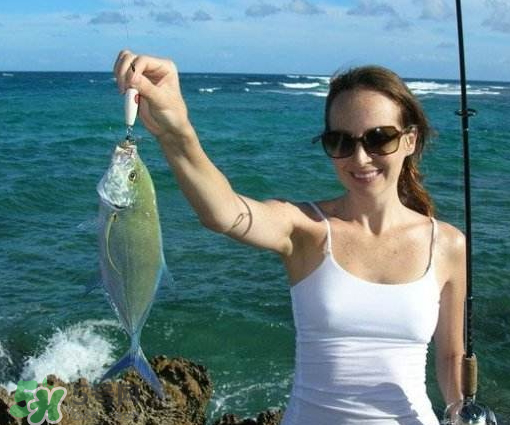 9月份釣什么魚？9月份釣草魚嗎？