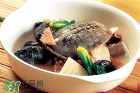 產(chǎn)婦能吃甲魚嗎？產(chǎn)婦能吃甲魚湯嗎？