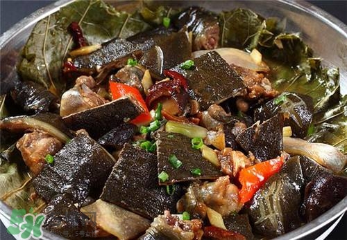 甲魚湯下奶嗎？下奶的食物有哪些？