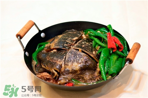 甲魚湯是涼性的嗎？甲魚湯的禁忌人群