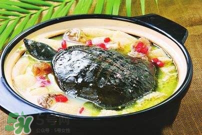 甲魚湯下奶嗎？下奶的食物有哪些？