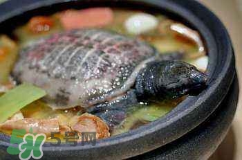 產(chǎn)婦能吃甲魚嗎？產(chǎn)婦能吃甲魚湯嗎？