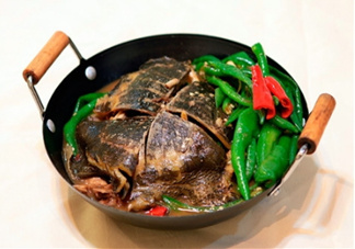 甲魚湯是涼性的嗎？甲魚湯的禁忌人群