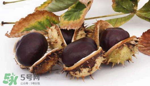板栗殼怎么好剝？怎樣剝板栗殼最快