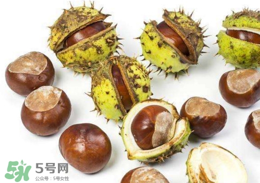 板栗殼怎么好剝？怎樣剝板栗殼最快