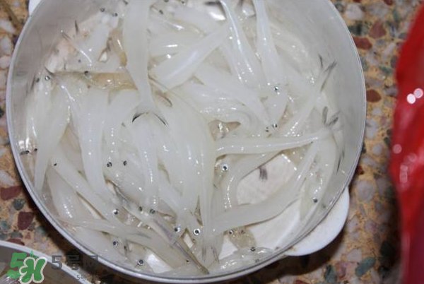 大銀魚多少錢一斤？大銀魚怎么洗？