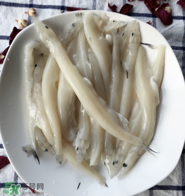大銀魚多少錢一斤？大銀魚怎么洗？