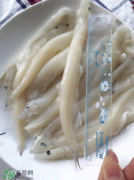 大銀魚多少錢一斤？大銀魚怎么洗？