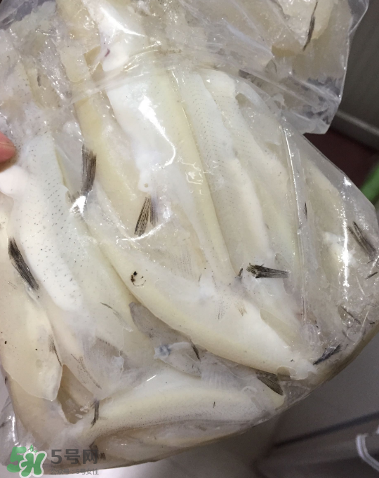 銀魚可以煲粥嗎？銀魚可以包餃子嗎？