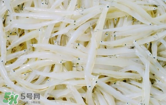 銀魚可以煲粥嗎？銀魚可以包餃子嗎？