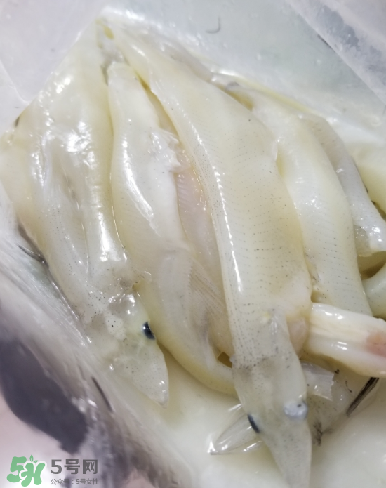 銀魚怎么保存？銀魚可以放在冰箱冷凍保存嗎？
