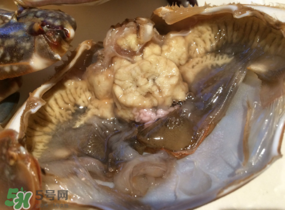 梭子蟹是野生的嗎？梭子蟹養(yǎng)的還是野生的？