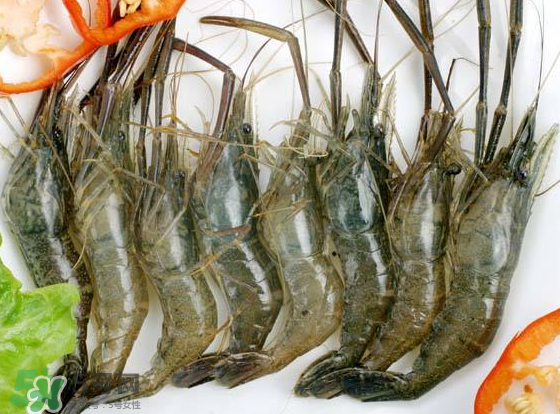 河蝦是海鮮嗎？河蝦屬于海鮮嗎？