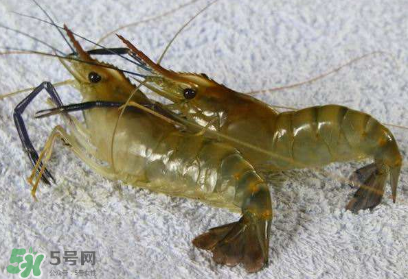 河蝦是酸性還是堿性？河蝦是涼性還是熱性？