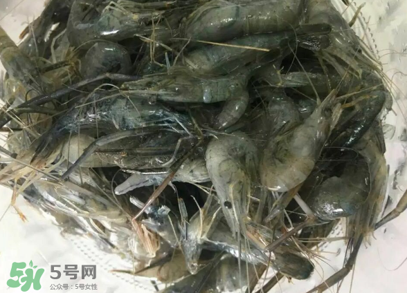 河蝦是基圍蝦嗎？河蝦是辛辣食物嗎？