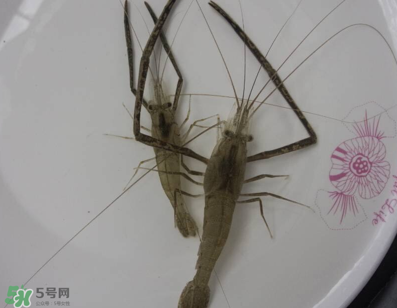 河蝦可以和牛奶同食嗎？河蝦和牛奶能一起吃嗎？