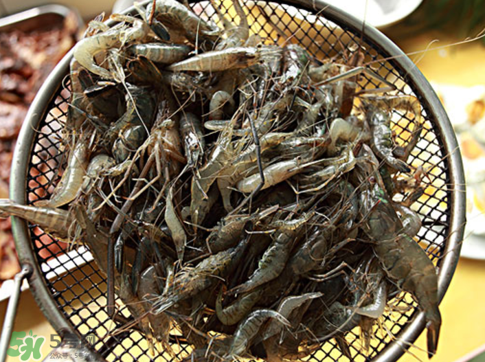 河蝦可以吃頭嗎？蝦頭到底能不能吃？