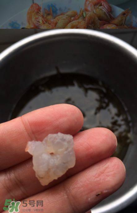 河蝦可以放冰箱嗎？河蝦在冰箱能放幾天？