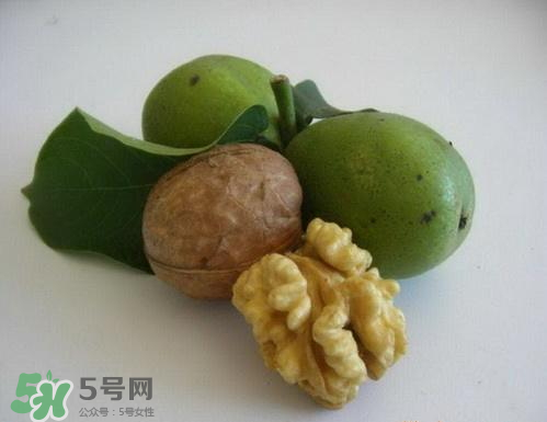 鮮核桃和干核桃哪個更有營養(yǎng)？鮮核桃和干核桃哪個營養(yǎng)價值高？