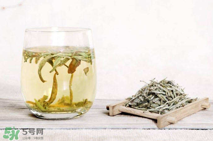 白毫銀針屬于綠茶嗎？白毫銀針是什么茶？