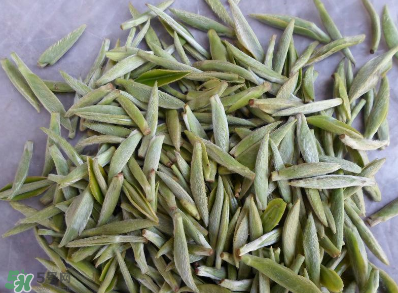 白毫銀針屬于綠茶嗎？白毫銀針是什么茶？