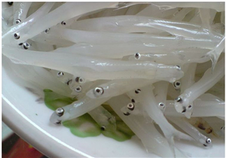 銀魚怎么保存？銀魚可以放在冰箱冷凍保存嗎？