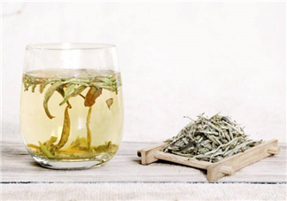 白毫銀針屬于綠茶嗎？白毫銀針是什么茶？