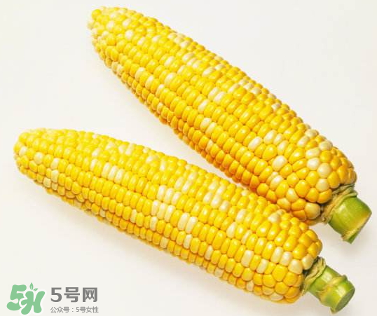 九月份能種玉米嗎？玉米九月份還可以種嗎？